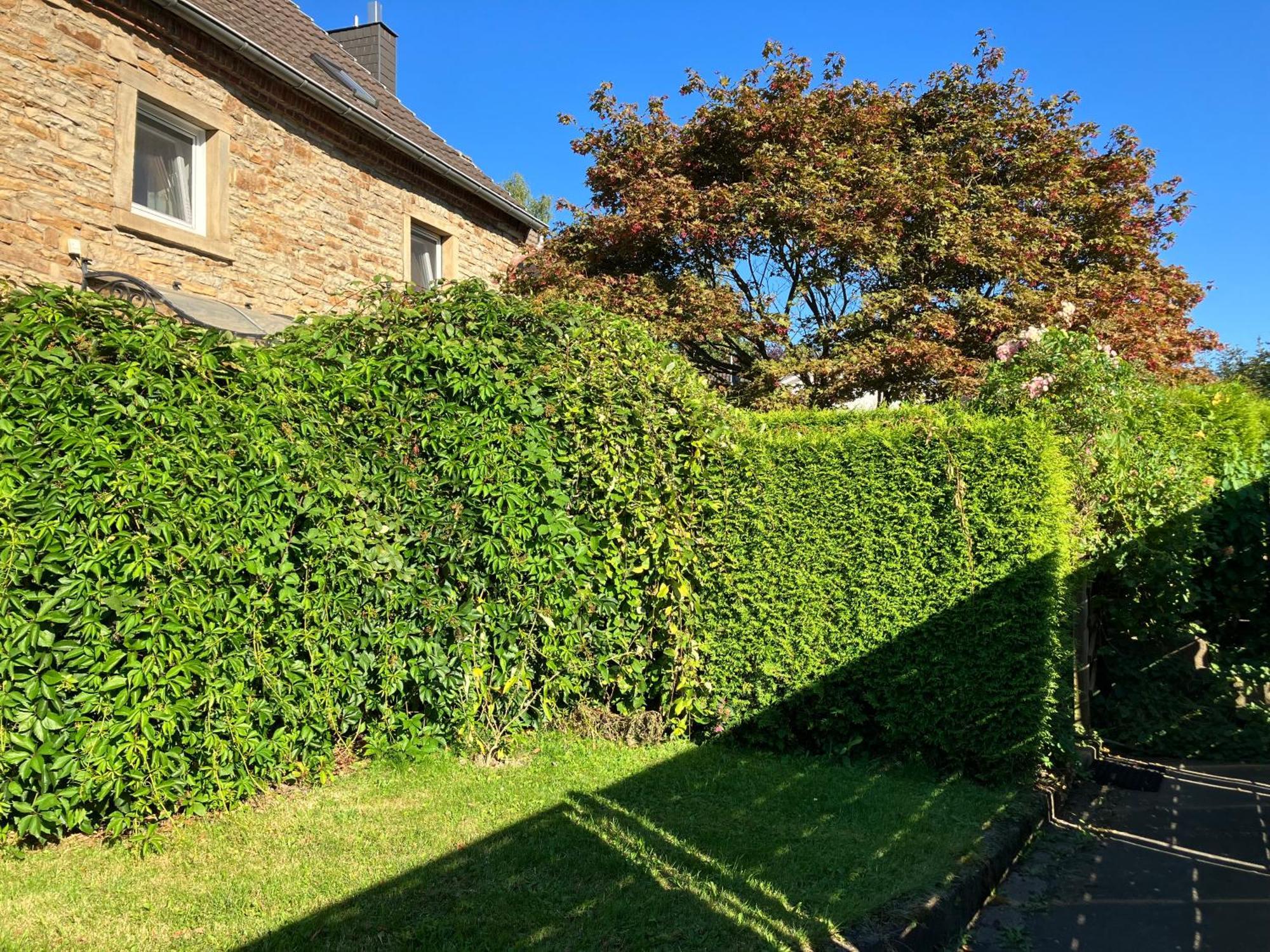 Ferienwohnung Im Gruenen Eg Mit Terrasse هيردكه المظهر الخارجي الصورة